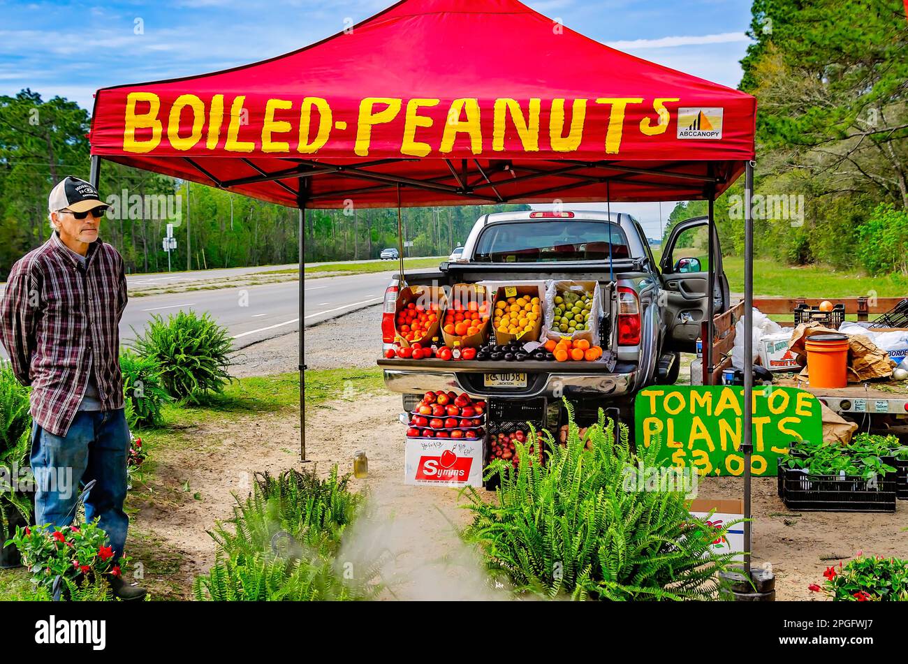 Un uomo vende arachidi bollite e prodotti assortiti presso uno stand sulla Mississippi Highway 63, 20 marzo 2023, a Moss Point, Mississippi. Foto Stock