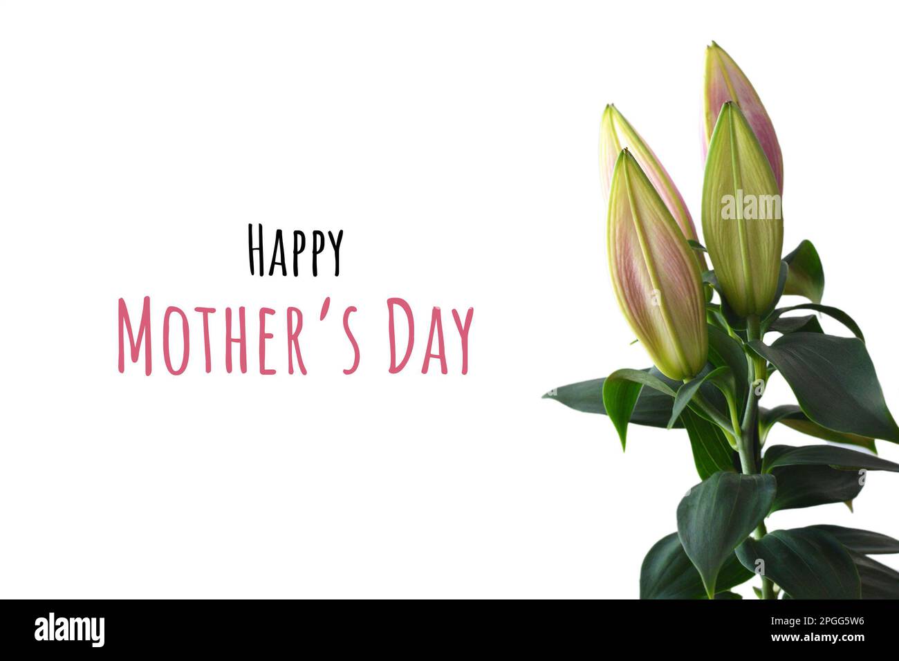 Scheda del giorno della mamma con bouquet di germogli di giglio isolato su sfondo bianco Foto Stock