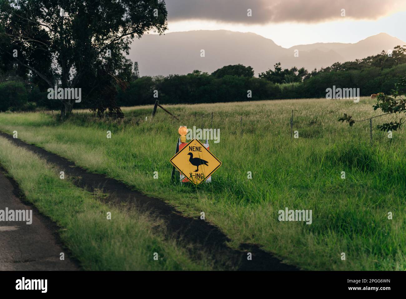 Cartello stradale di passaggio Nene vicino a una strada a Kauai, Hawaii - dicembre 2022. Foto di alta qualità Foto Stock