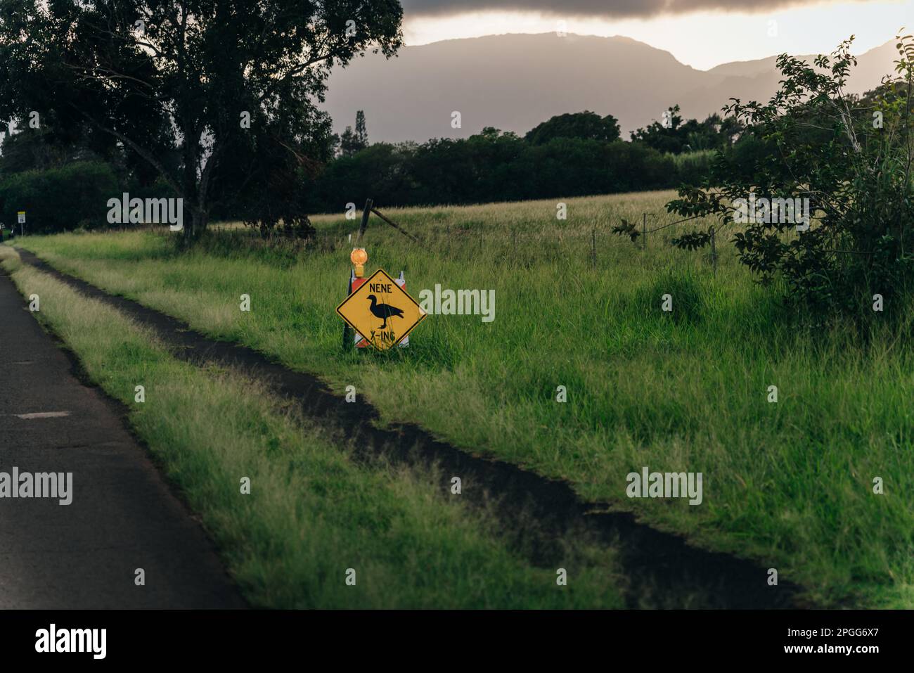 Cartello stradale di passaggio Nene vicino a una strada a Kauai, Hawaii - dicembre 2022. Foto di alta qualità Foto Stock
