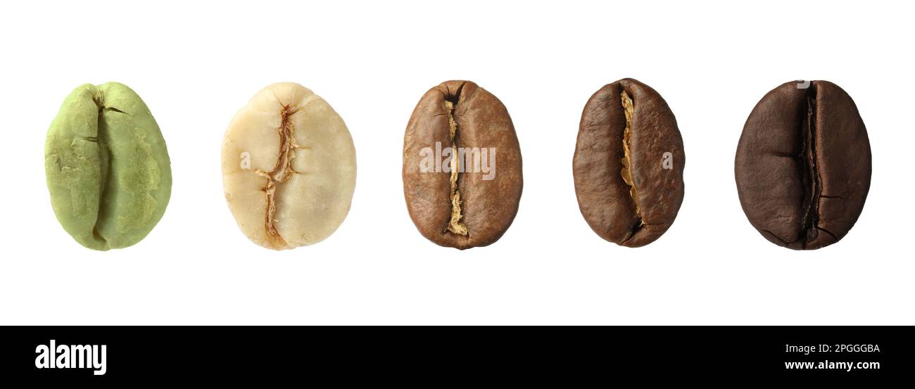 Fasi di tostatura dei chicchi di caffè su sfondo bianco, collage. Design del banner Foto Stock