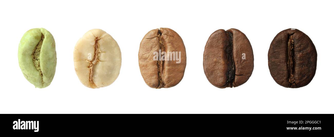 Fasi di tostatura dei chicchi di caffè su sfondo bianco, collage. Design del banner Foto Stock