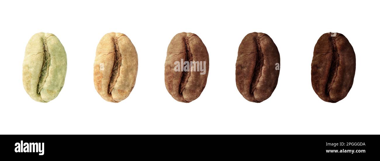 Fasi di tostatura dei chicchi di caffè su sfondo bianco, collage. Design del banner Foto Stock