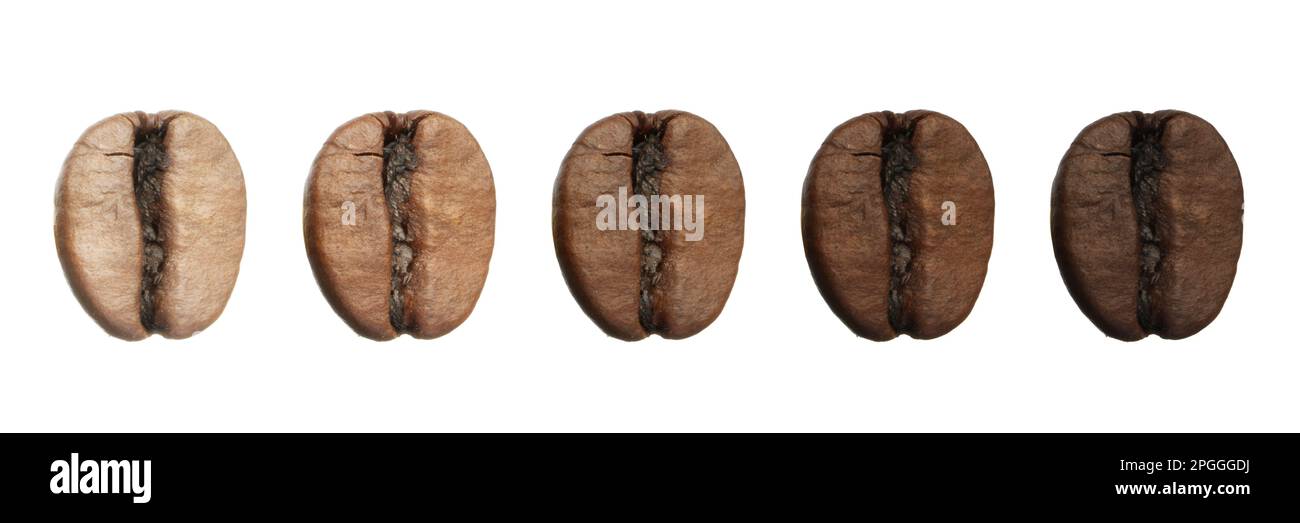 Fasi di tostatura dei chicchi di caffè su sfondo bianco, collage. Design del banner Foto Stock