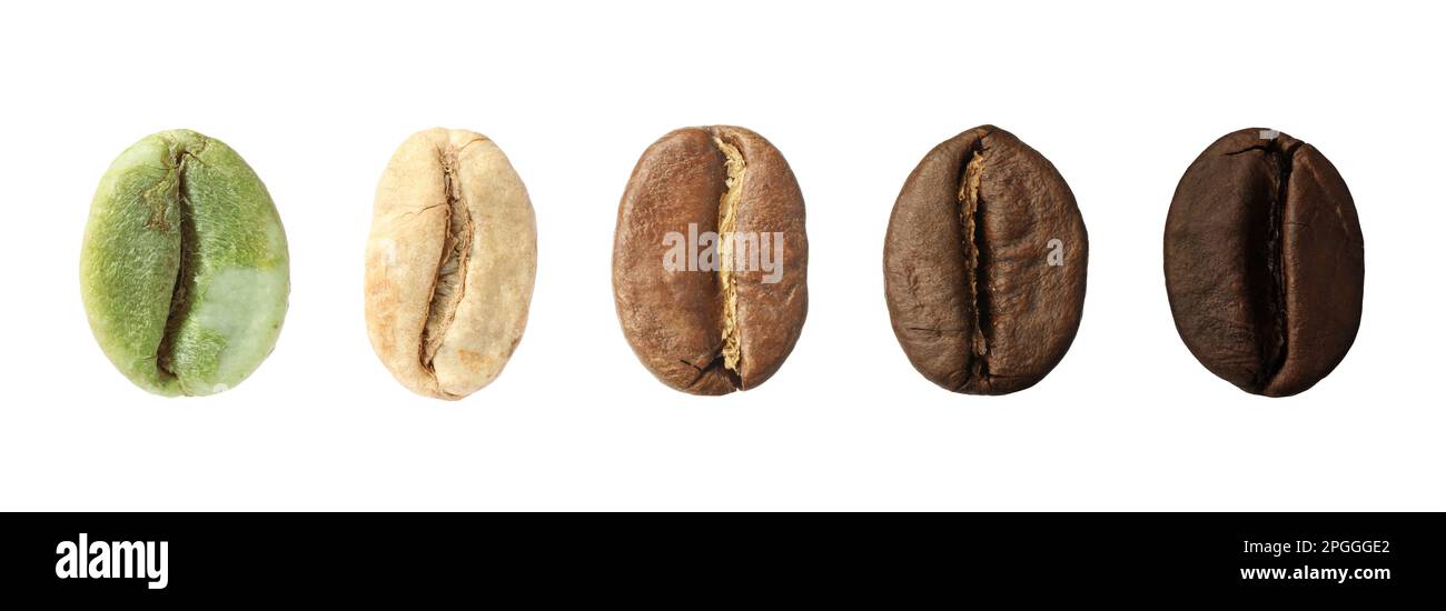 Fasi di tostatura dei chicchi di caffè su sfondo bianco, collage. Design del banner Foto Stock