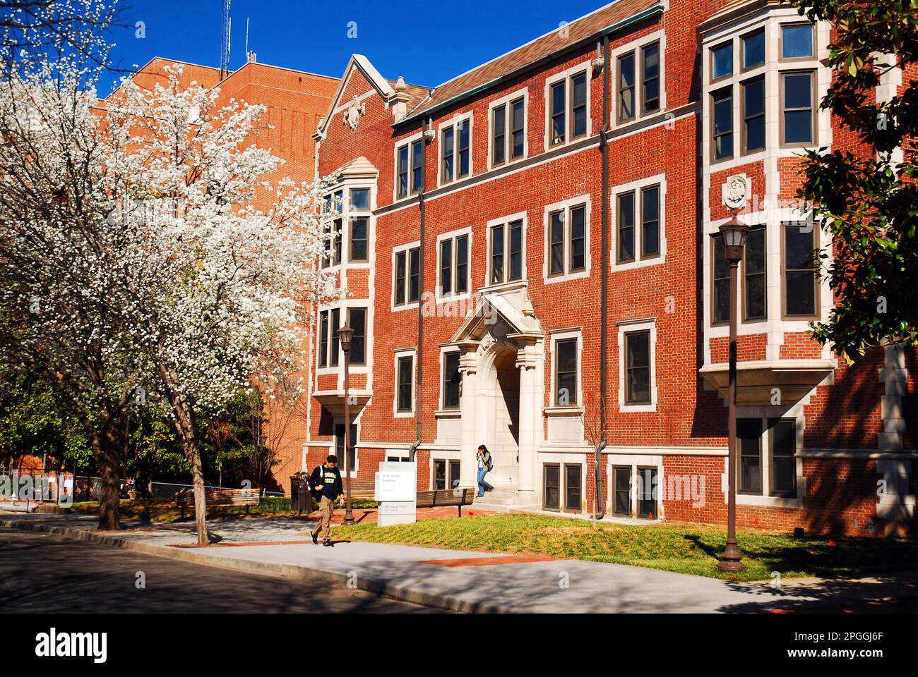 I fiori di ciliegio fioriscono nel campus del Georgia Institute of Technology, Georgia Tech in una giornata di primavera ad Atlanta Foto Stock