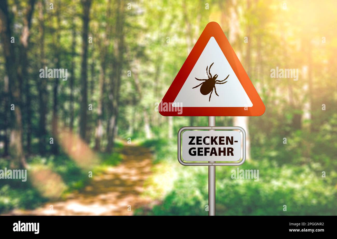 Close-up di un cartello di segnalazione con testo ZECKEN GEFAHR, Tedesco per diffidare di zecche, contro sfocati sullo sfondo della foresta Foto Stock