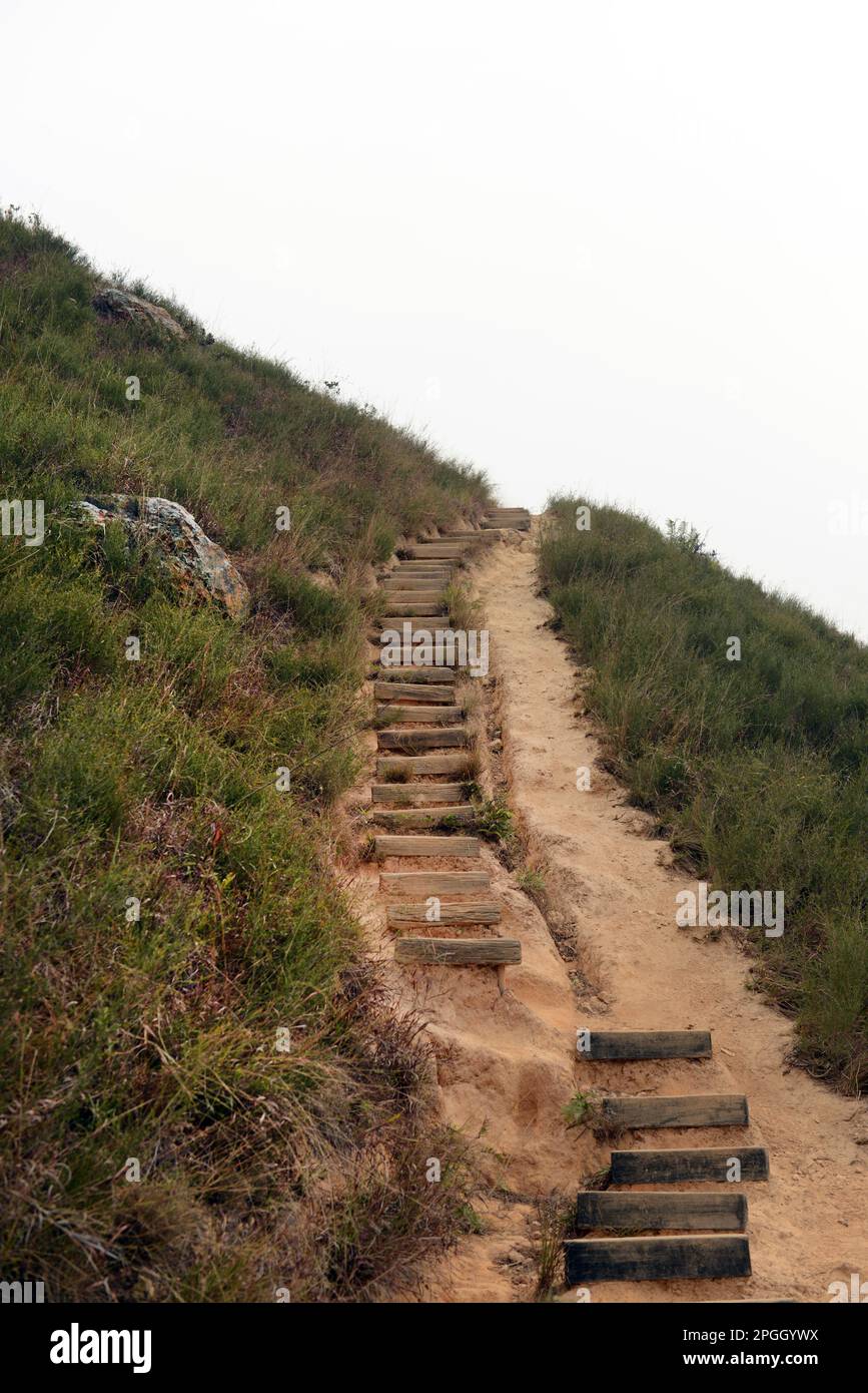 Escursioni nel Lam Tsuen Country Park nei nuovi territori di Hong Kong. Foto Stock