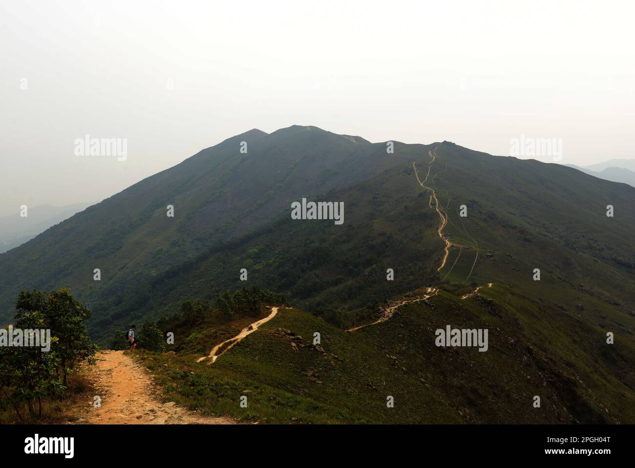 Escursioni nel Lam Tsuen Country Park nei nuovi territori di Hong Kong. Foto Stock