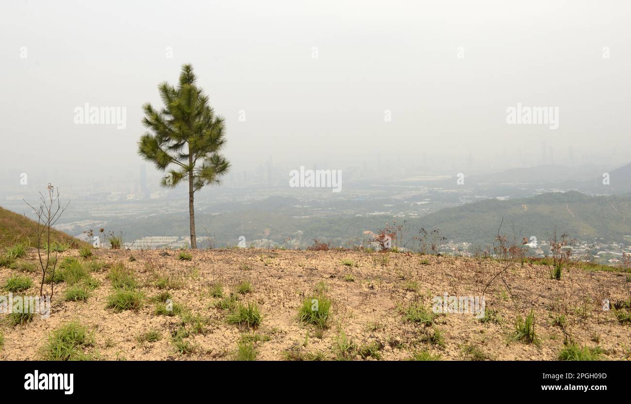 Escursioni nel Lam Tsuen Country Park nei nuovi territori di Hong Kong. Foto Stock