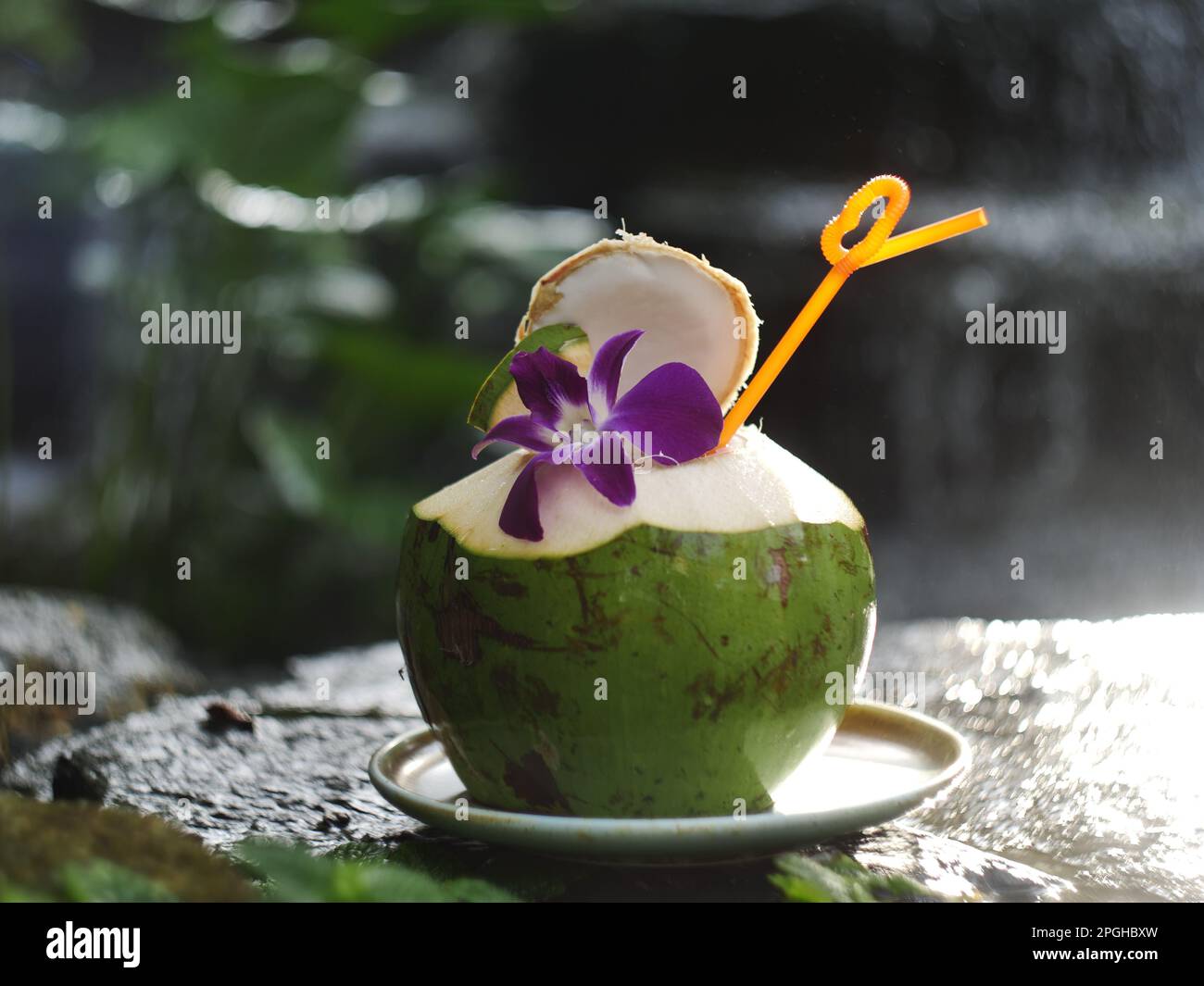 L'acqua di cocco in frutta fresca di cocco si trova su una roccia vicino alla cascata. Foto Stock