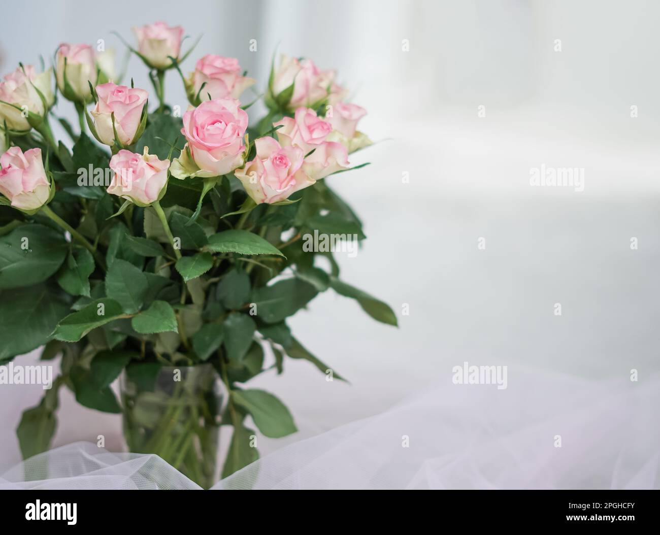 bouquet di rose rosa in vaso primo piano, sfondo floreale naturale. Foto Stock