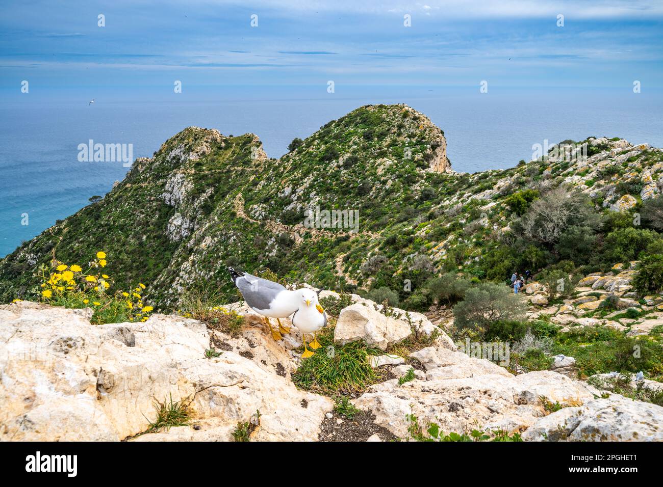 Sentiero escursionistico nel Parco Nazionale Penyal d'Ifac vicino a Calp, Spagna Foto Stock