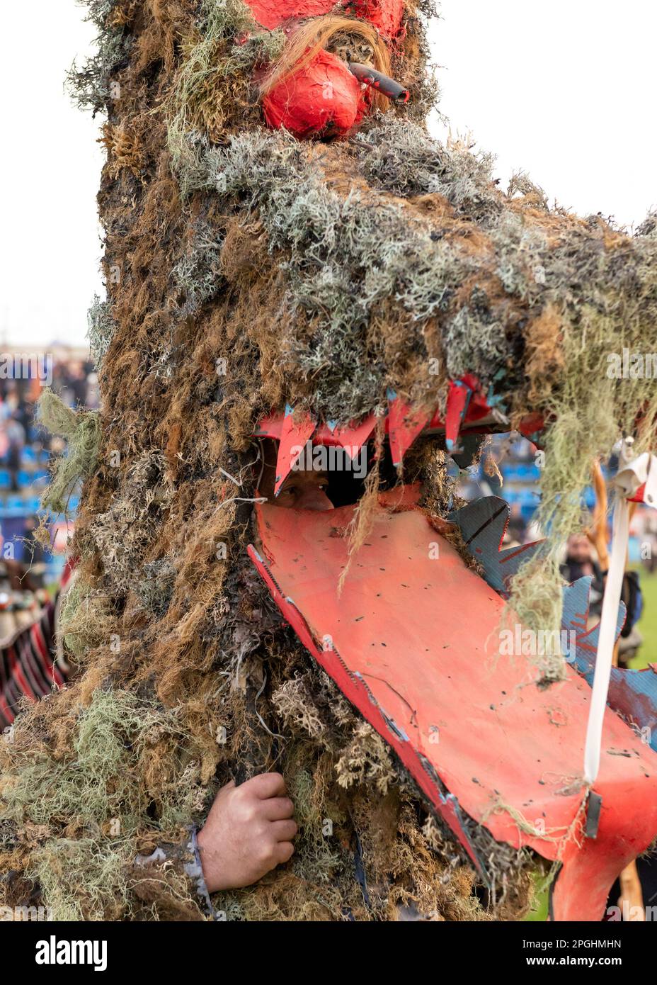 Maschere grandi bizzarre dal villaggio di Brejani all'annuale festival invernale di Simitlia Kukeri a Simitli, nella contea di Blagoevgrad, Bulgaria Foto Stock