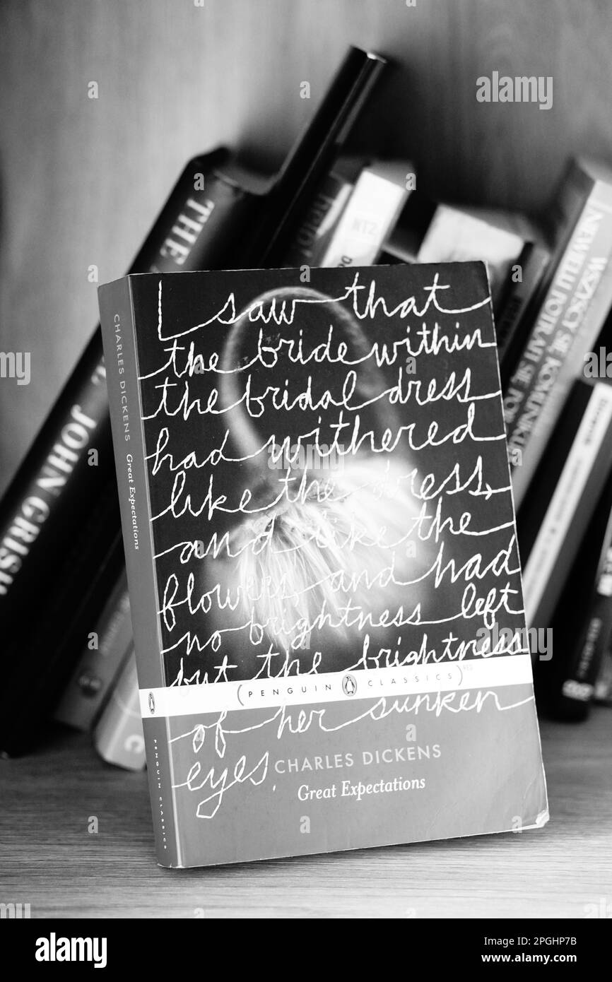 Un'immagine in bianco e nero di un libro intitolato Great Expectations, un romanzo di Charles Dickens, seduto su una libreria Foto Stock