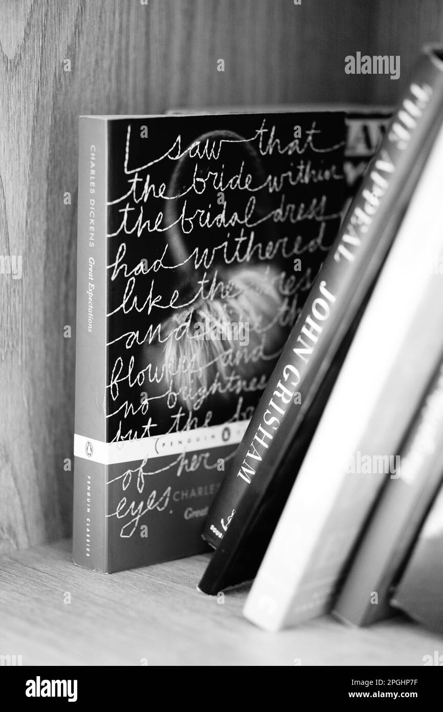 Un'immagine in bianco e nero di un libro intitolato Great Expectations, un romanzo di Charles Dickens, seduto su una libreria Foto Stock