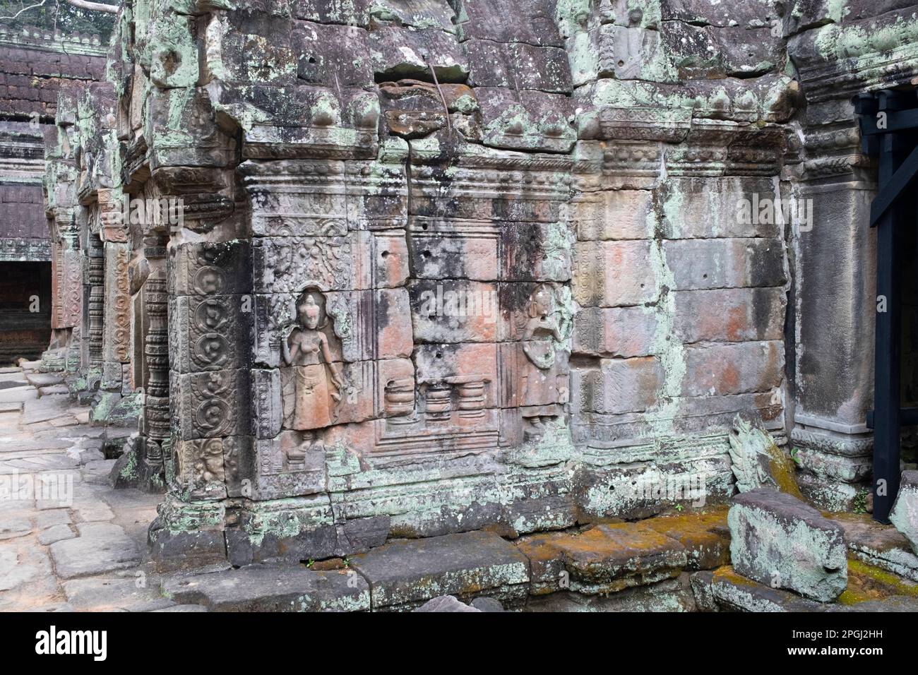 Cambogia: Cambogia: Devata (divinità femminile) adornano le mura di Preah Khan (Tempio della Sacra spada). Preah Khan è stato costruito nel tardo 12th ° secolo (1191) da Jayavarman VII e si trova appena a nord di Angkor Thom. Il tempio fu costruito sul luogo della vittoria di Jayavarman VII sui Chams invasori nel 1191. Era il centro di una grande organizzazione, con quasi 100.000 funzionari e funzionari. In un tempo era un'università buddista. La divinità primaria del tempio è la boddhisatva Avalokiteshvara, nella forma del padre di Jayavarman. Foto Stock