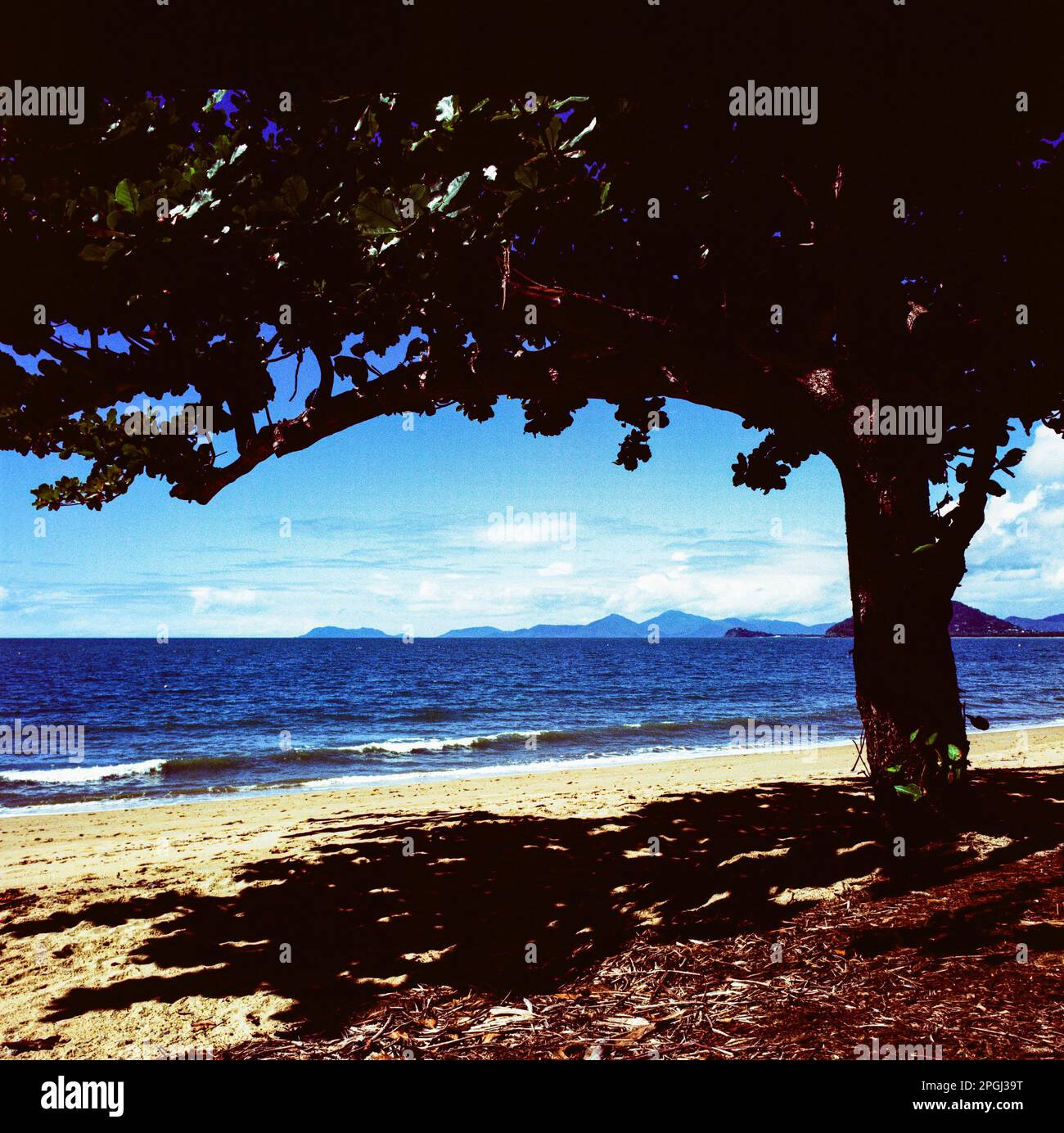 Fitzroy Island Beach, Queensland, Australia Foto Stock