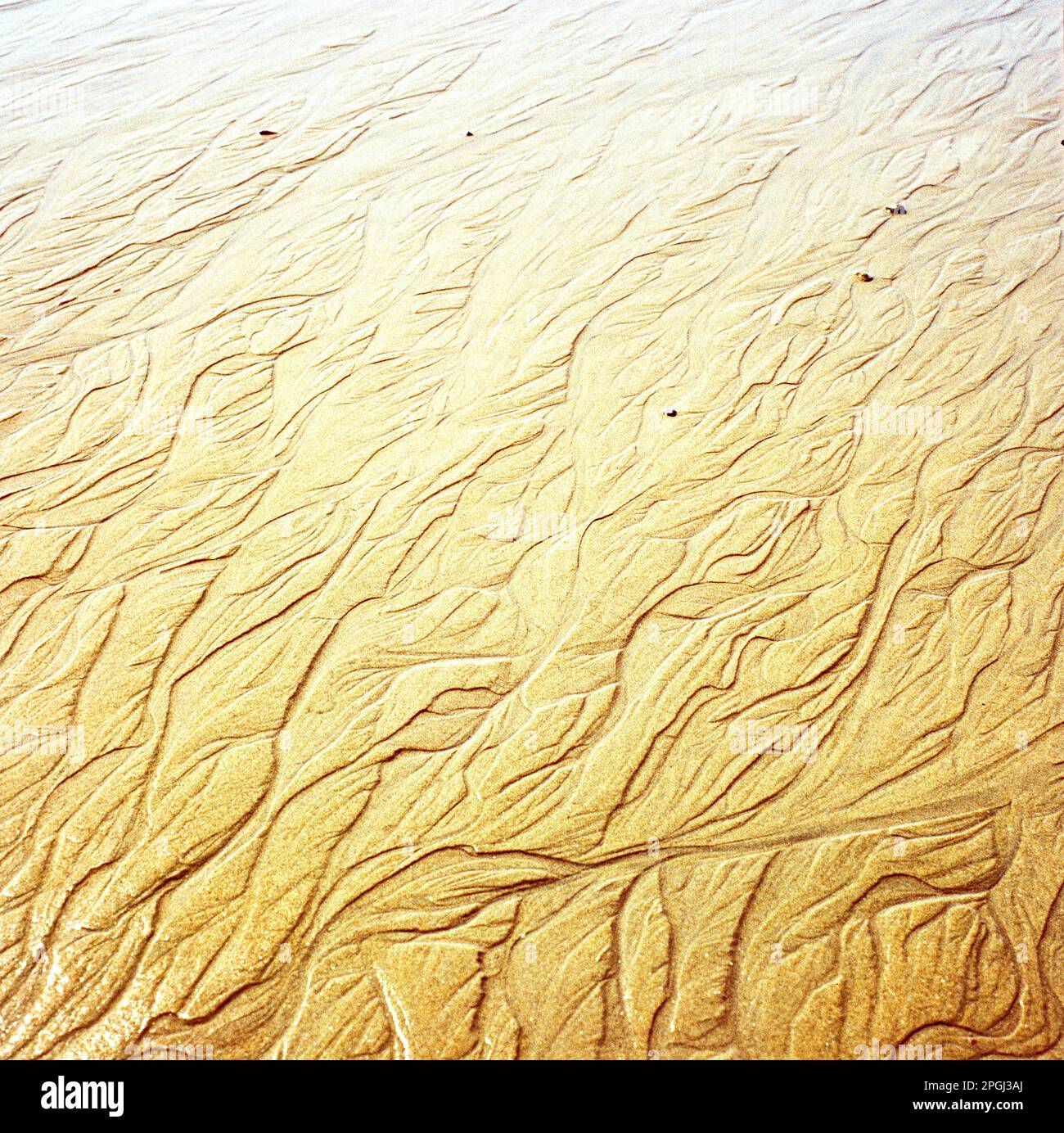 Fitzroy Island Beach, Queensland, Australia Foto Stock