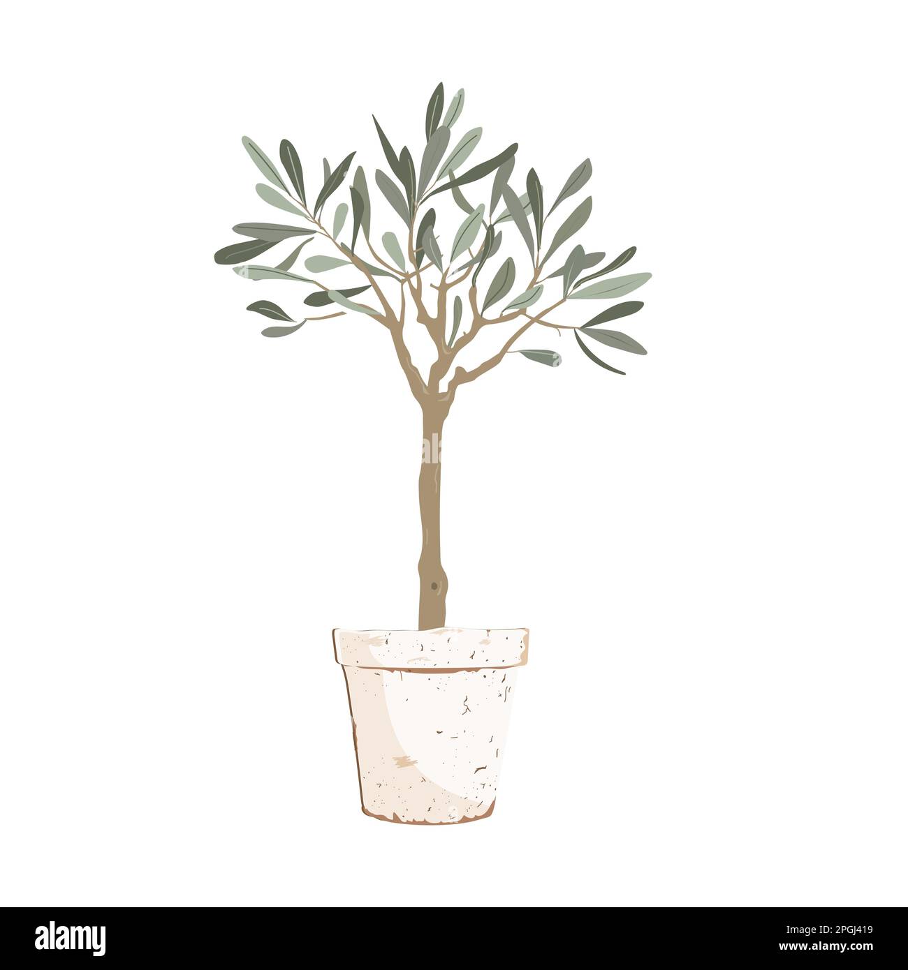 Bellissimo e giovane albero di ulivo isolato su bianco. Illustrazione vettoriale. Illustrazione Vettoriale