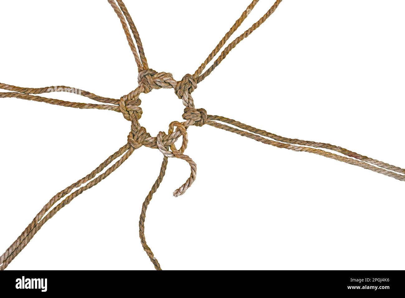 Le corde rustiche sono unite insieme in un cerchio annodato, una di esse ha ancora un'estremità sciolta, concetto di coesione e di team building, isolato su una b bianca Foto Stock