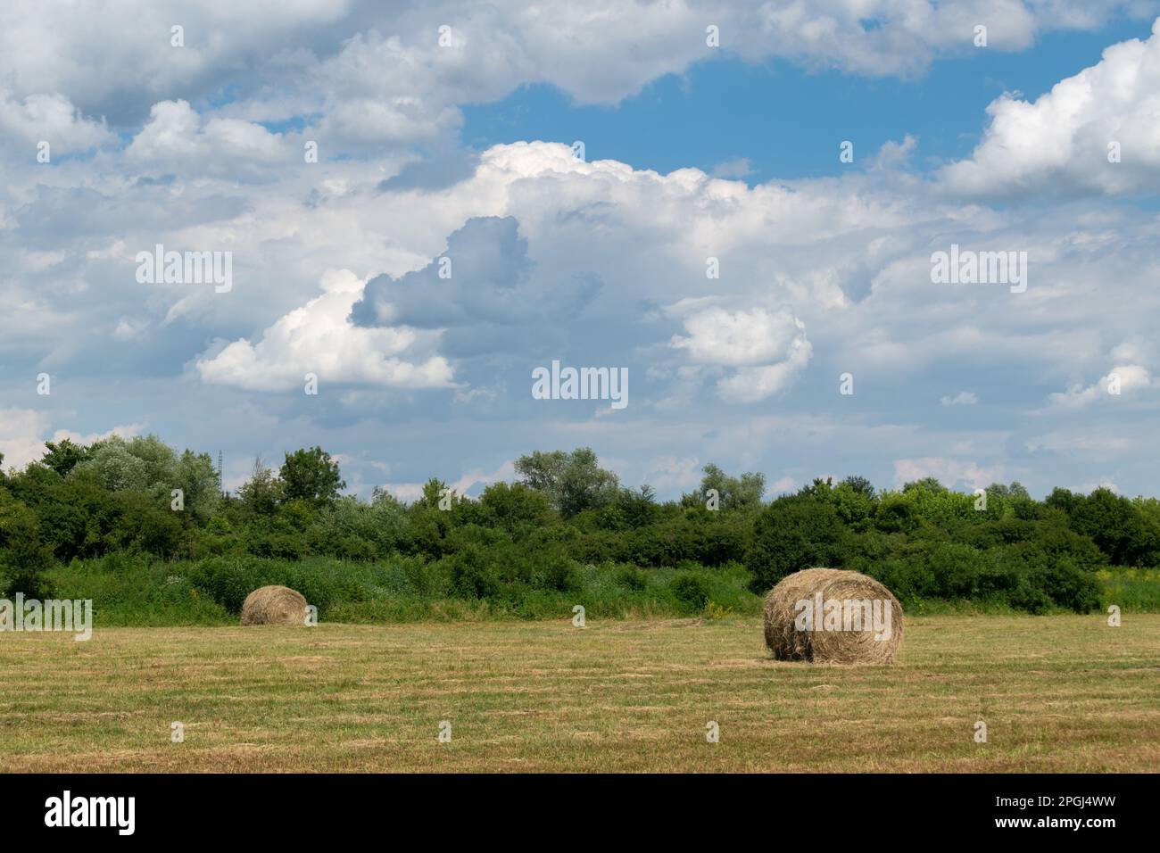 Campo con rotoli di fieno, paesaggio rurale con balle di fieno e soffici nuvole di cumulo, foraggio animale Foto Stock