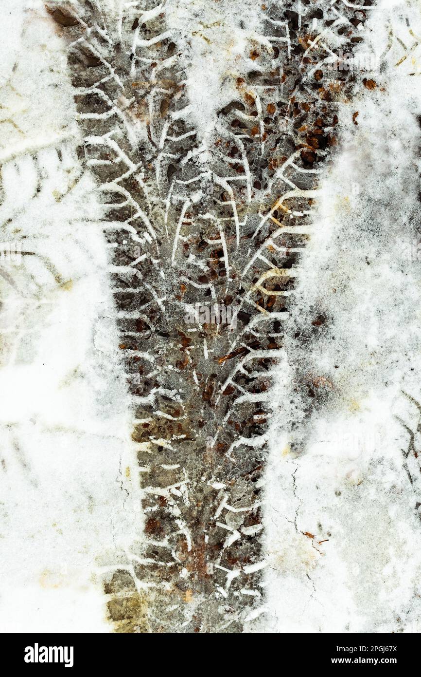 Tracce di pneumatici sulla neve Foto Stock