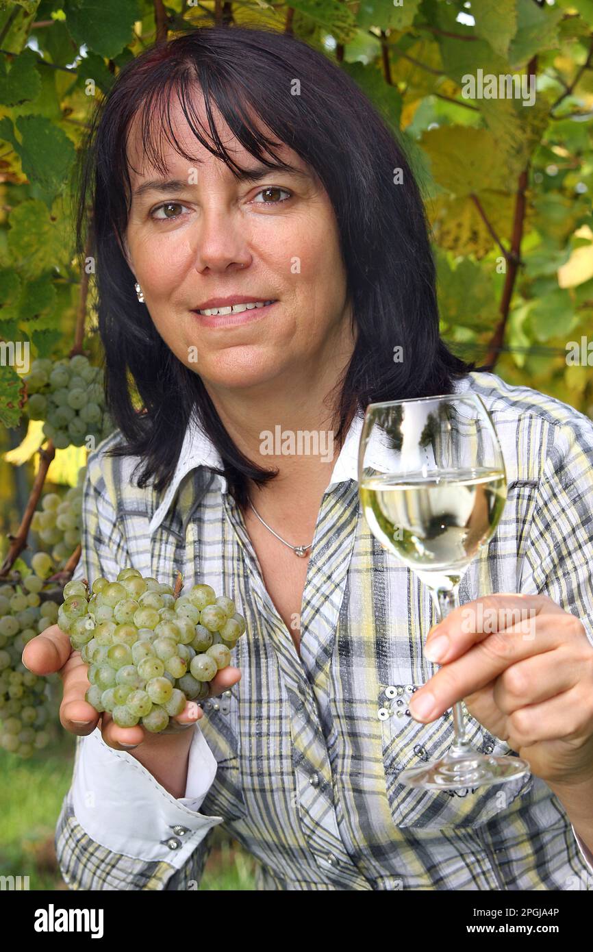 donna con bicchiere di vino bianco e uva davanti alle vigne, mezzo ritratto Foto Stock