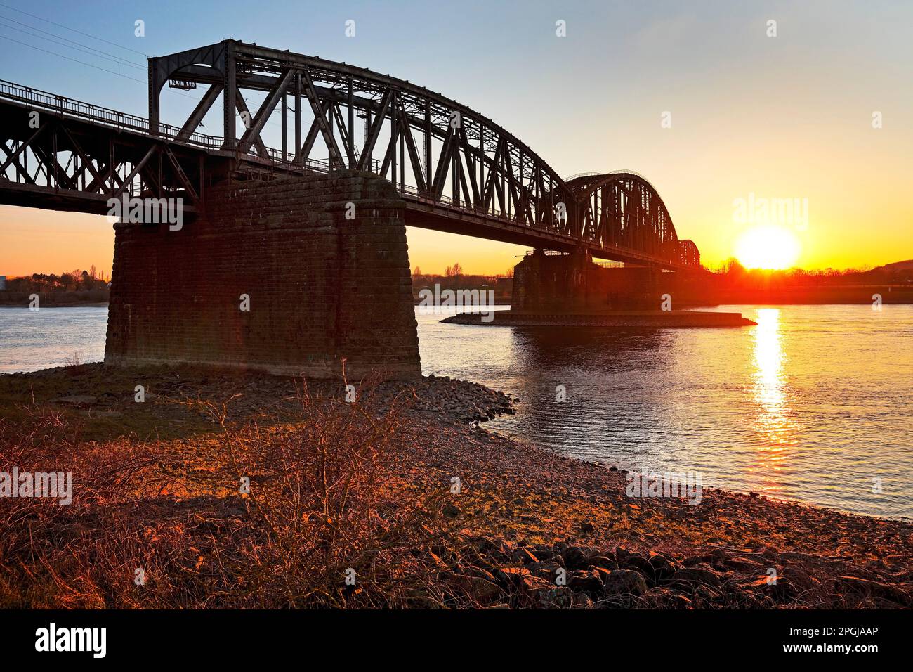 ponte Haus Knipp, ponte ferroviario sul fiume Reno in luce notturna, Germania, Nord Reno-Westfalia, Ruhr zona, Duisburg Foto Stock