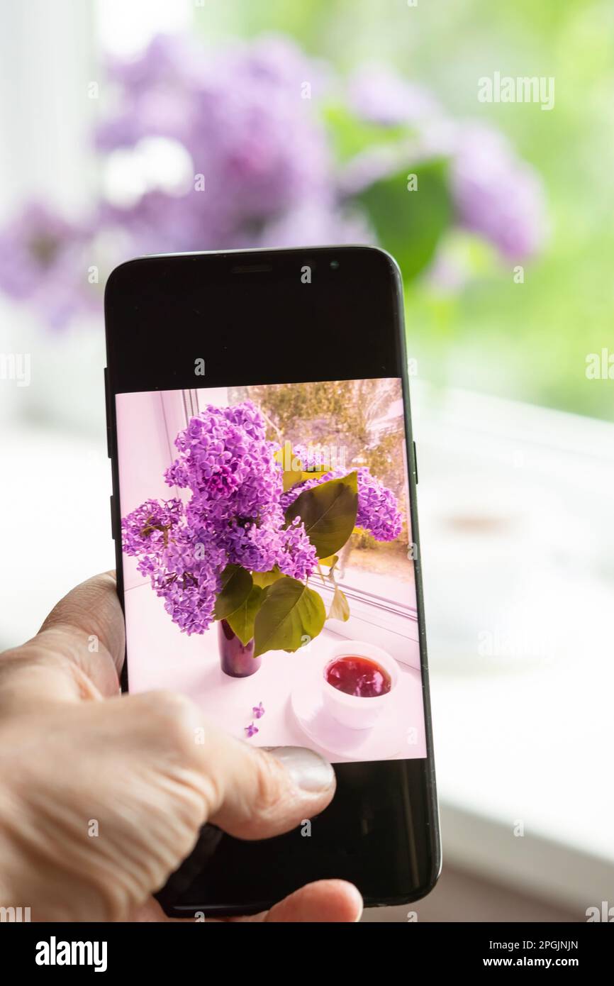 donna fotografa una composizione di fiori lilla su una vetrina di una casa su uno smartphone per i social network Foto Stock