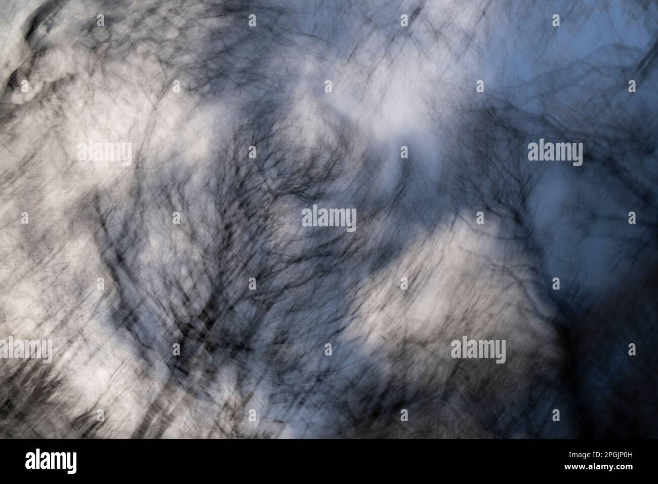 Il movimento della fotocamera e il vento alto creano immagini suggestive del bosco in una giornata invernale squallida, Worcestershire, Inghilterra. Foto Stock