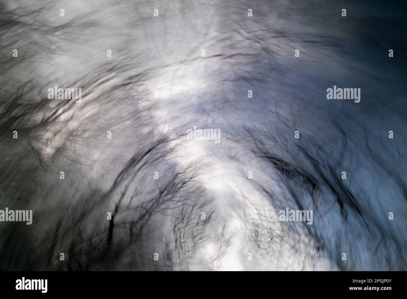 Il movimento della fotocamera e il vento alto creano immagini suggestive del bosco in una giornata invernale squallida, Worcestershire, Inghilterra. Foto Stock