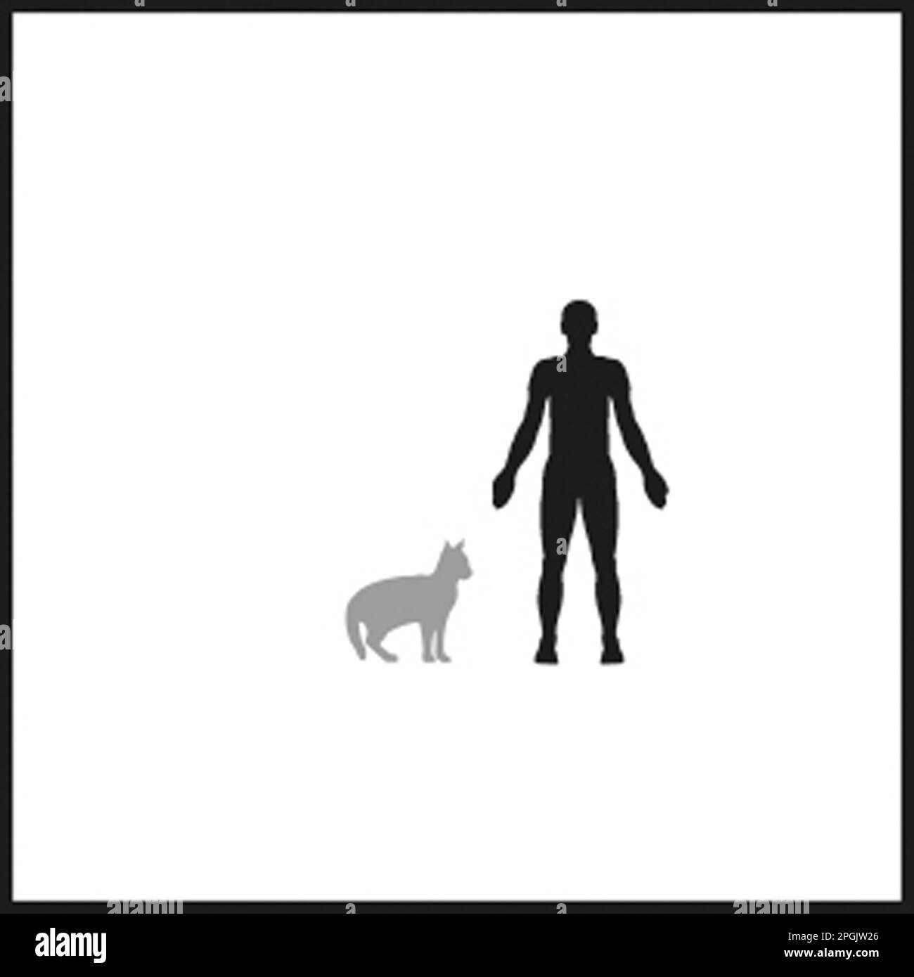 Gatto della giungla Foto Stock