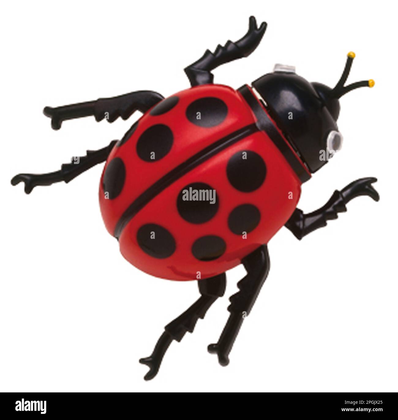 Un giocattolo di plastica ladybird. Foto Stock