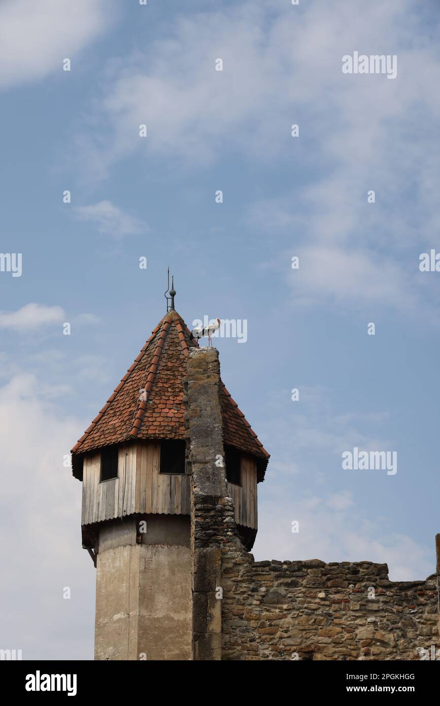 Monastero di Cârța Foto Stock