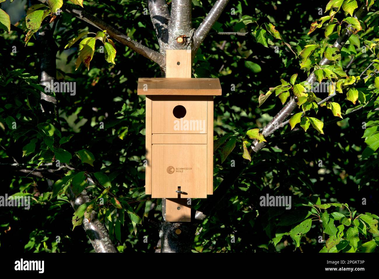 Scatola di nesting per titmouse in legno svizzero, Vallese, Svizzera Foto Stock
