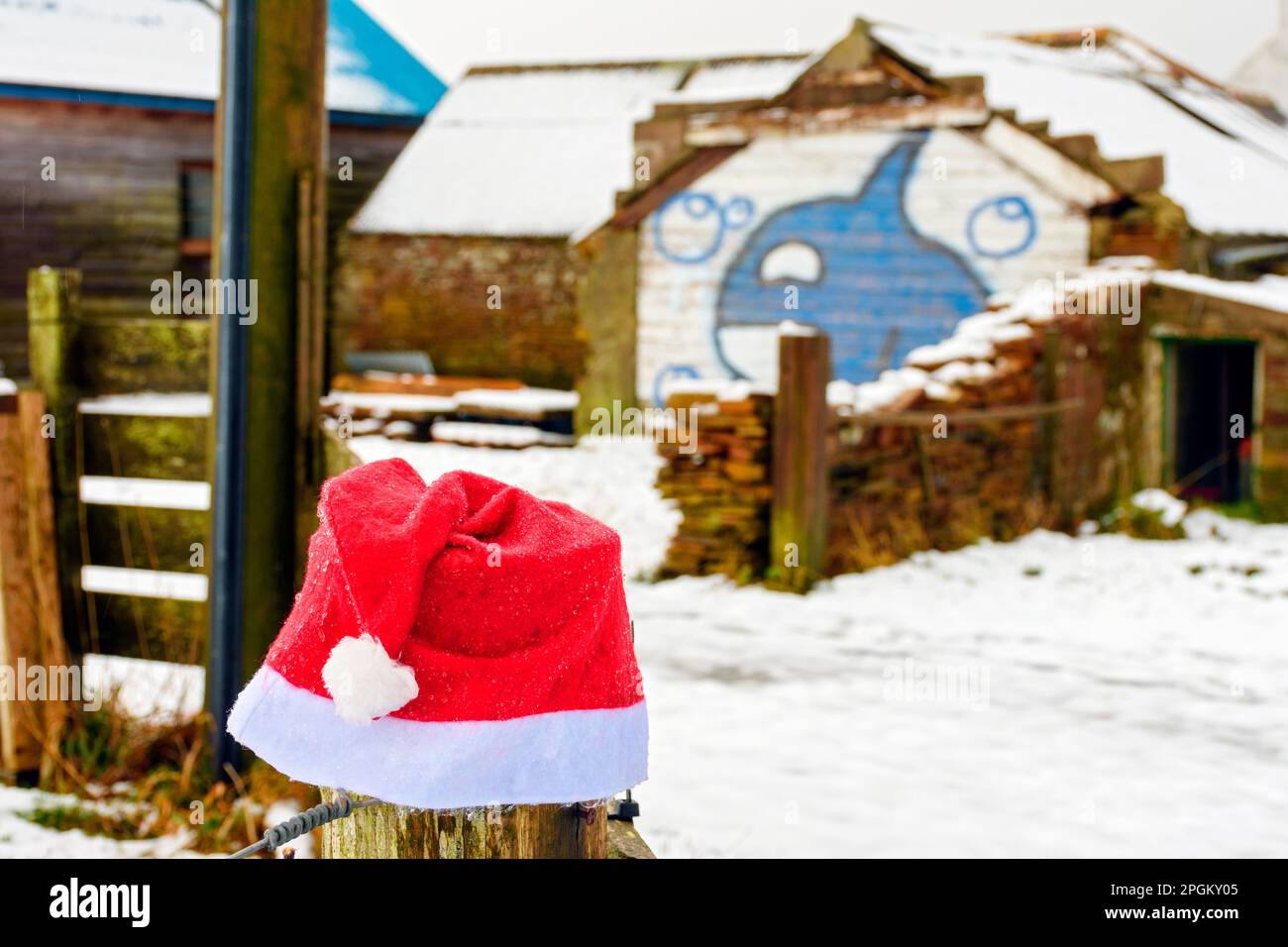 Scartato Natale Babbo Natale nuovo cappello su un palo di recinzione, vicino al villaggio di East Mey, Caithness, Scozia, Regno Unito Foto Stock