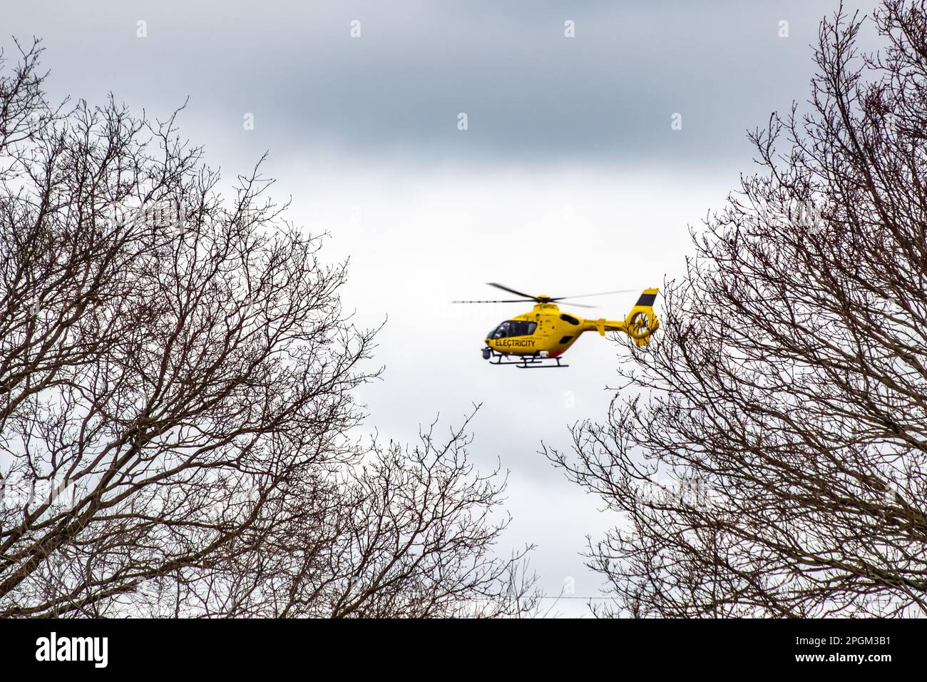 National Grid elicottero elettrico giallo in azione in Hampshire Inghilterra Foto Stock