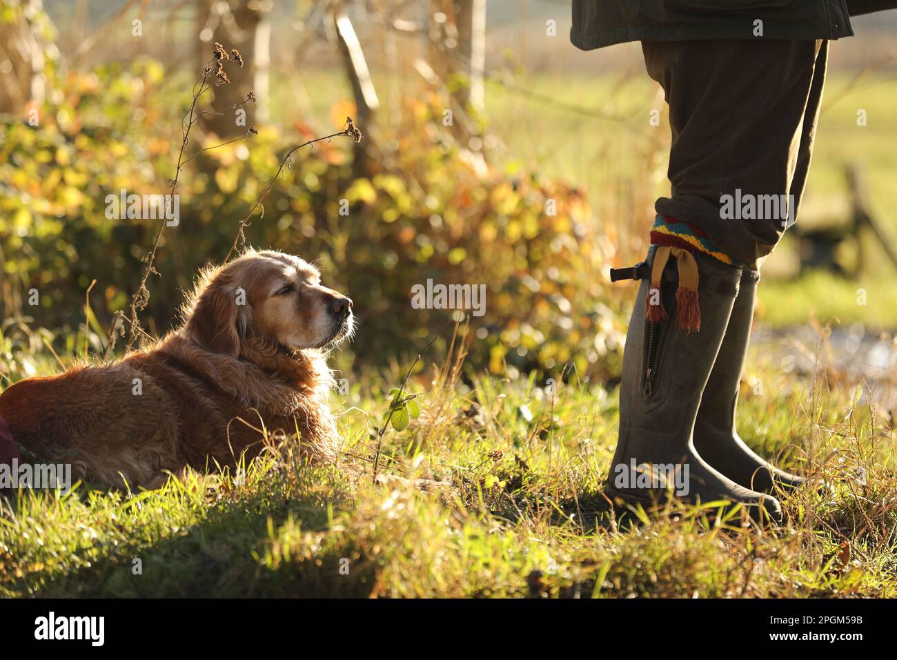 Un cane e il suo proprietario battono su un tiro Foto Stock