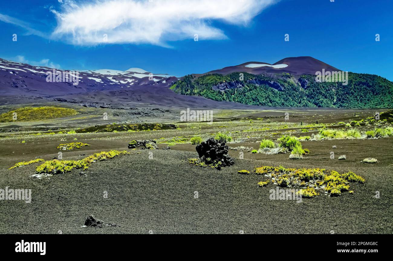 Ampio campo di ghiaia di cenere lavica con vegetazione sparsa, vulcani sullo sfondo - Conguillio NP, Cile Foto Stock