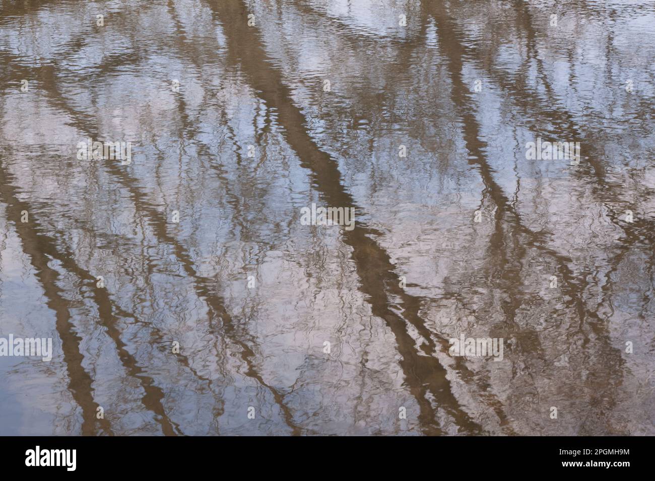 Riflessione astratta degli alberi in acqua Foto Stock