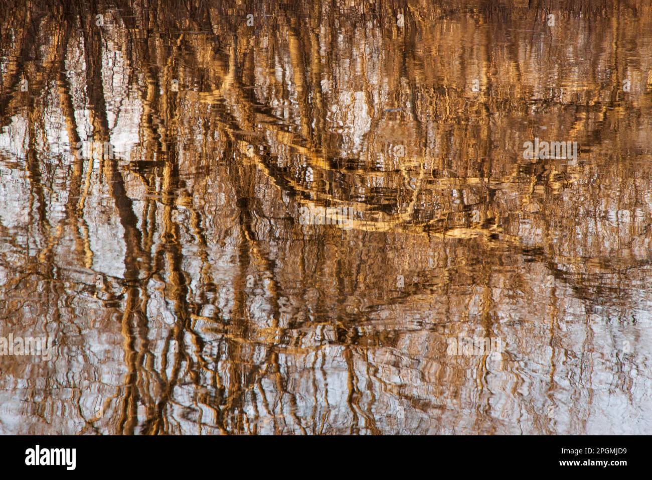 Riflessione astratta degli alberi in acqua Foto Stock