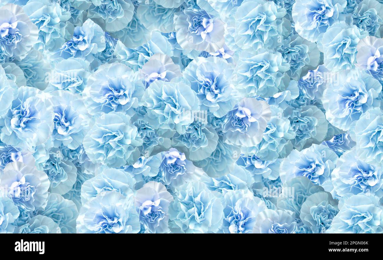 Aroma di garofano blu. Poster a tema creativo orizzontale, biglietti d'auguri, intestazioni, sito Web e app Foto Stock