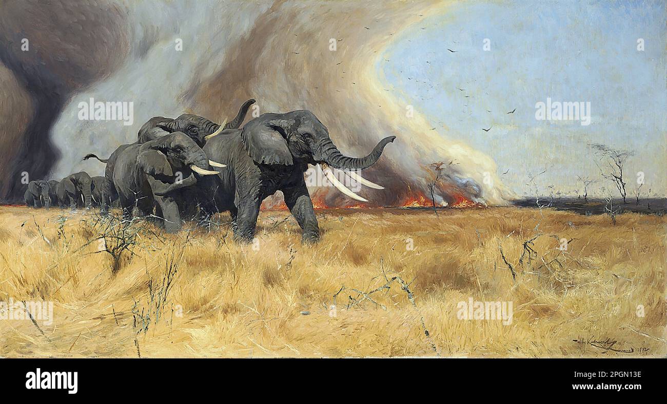 Kuhnert Wilhelm - mandria di elefanti in fuga da un fuoco Bush - Scuola tedesca - 19th e primi del 20th ° secolo - Kuhnert Wilhelm - mandria di elefanti in fuga da un fuoco Bush - Scuola tedesca - 19th e primi del 20th ° secolo Foto Stock