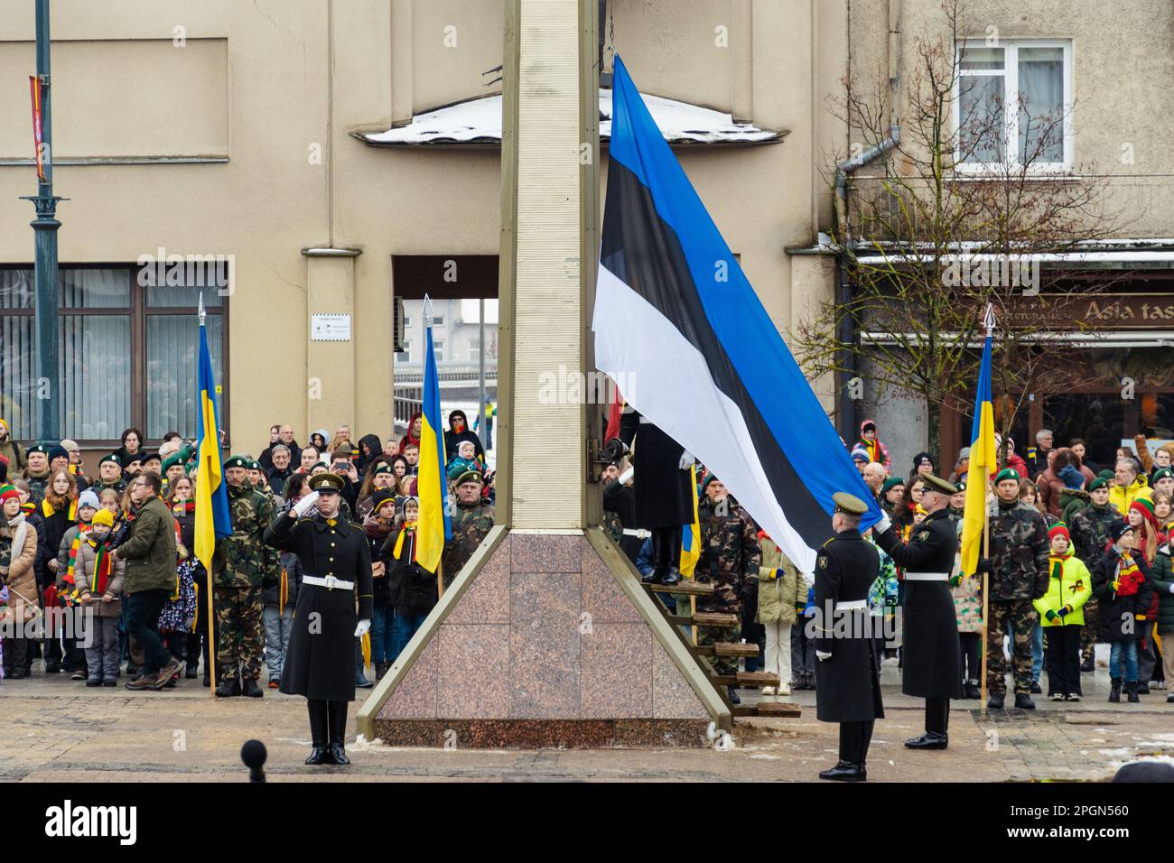 Bandiere dell'Estonia e dell'Ucraina che sventolano insieme durante una cerimonia ufficiale con i soldati Foto Stock