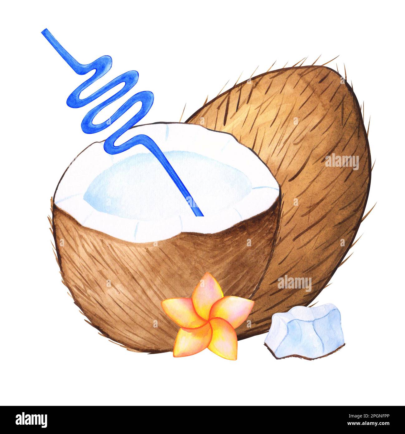 Acquerello cocco tropicale disegno a mano con elementi isolati per il design con un tubo per cocktail, fiore di plumeria e una fetta di cocco Foto Stock