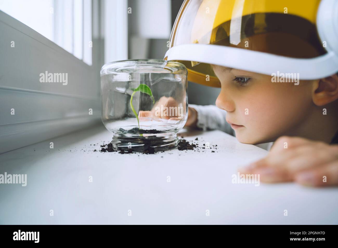 Ragazzo che guarda la pianta in casa Foto Stock