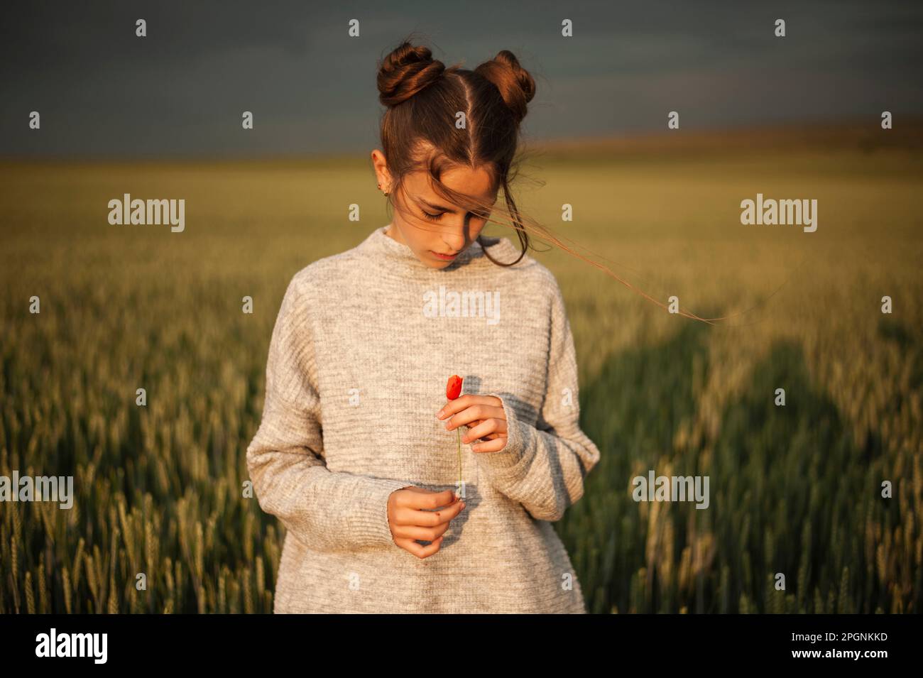 Ragazza con ciambelle di capelli tenendo fiore di papavero al tramonto Foto Stock