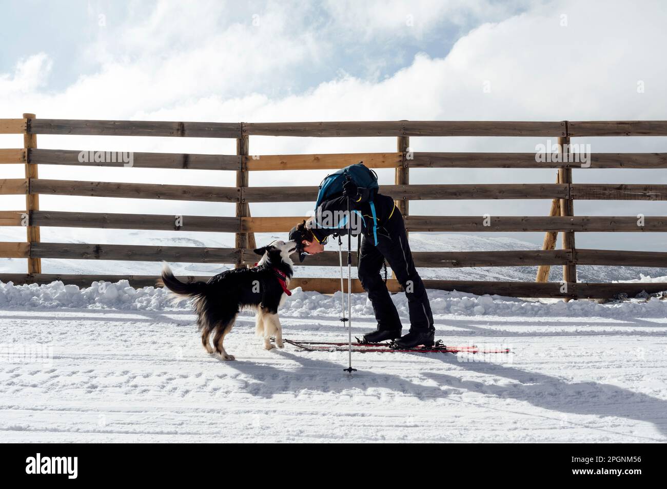 Uomo che gioca con il cane in vacanza in inverno nelle giornate di sole Foto Stock