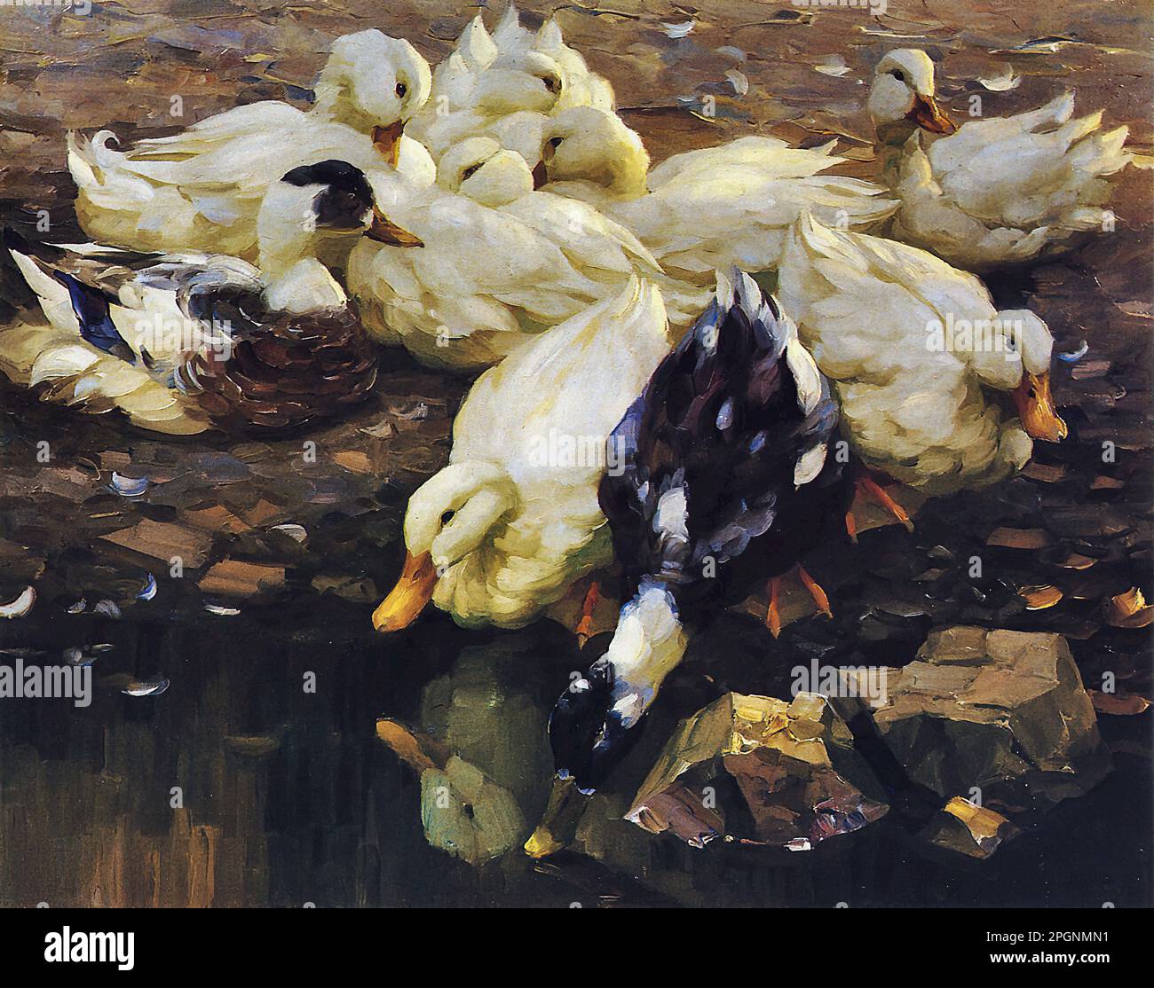 Koester Alexander - Enten am Teich 2 - Scuola tedesca - 19th e inizio 20th ° secolo - Koester Alexander - Enten am Teich 2 - Scuola tedesca - 19th e inizio 20th ° secolo Foto Stock